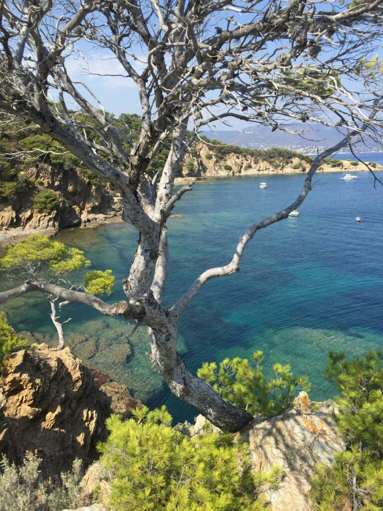 Plage et falaises à Bormes-les-Mimosas, village méditerranéen fleuri au bord de la mer en Provence. Beach and cliffs in Bormes-les-Mimosas, a flower-filled Mediterranean village on the Provençal coast.
