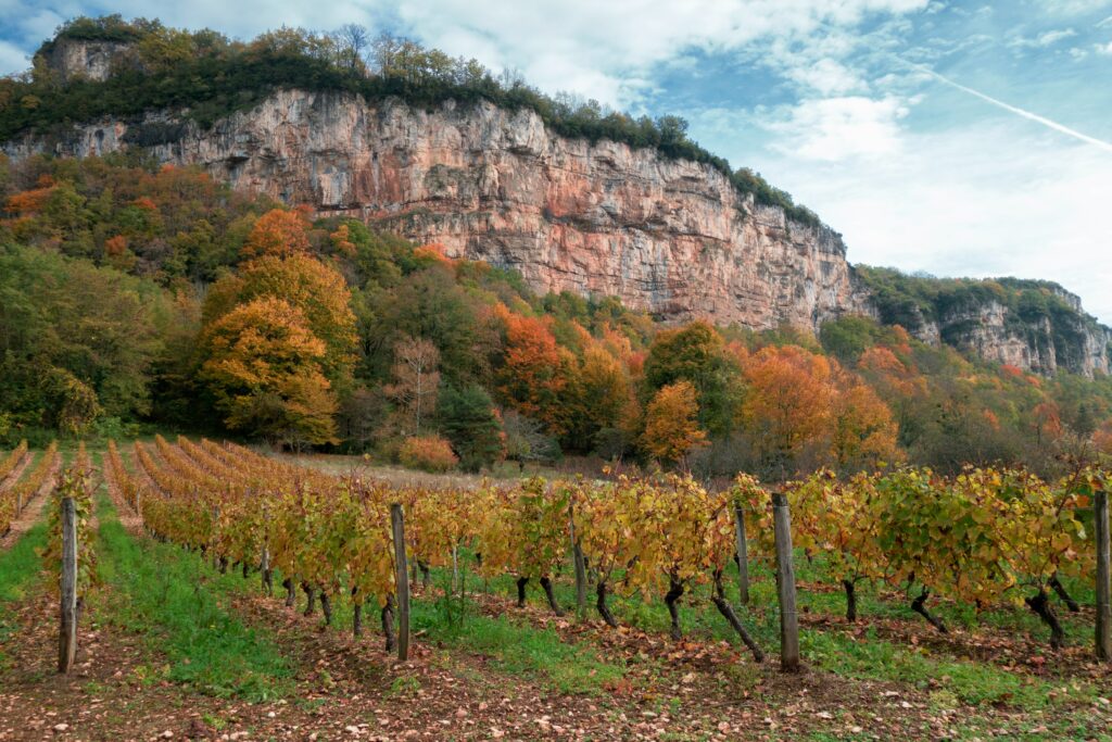 Vignes d’automne dorées au pied des falaises en Provence, France. Golden autumn vineyards below cliffs in Provence, France.