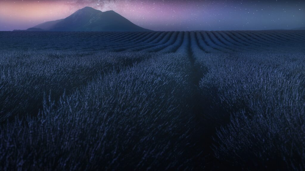 Champ de lavande sous un ciel étoilé, montagnes au loin, ambiance magique de la Provence nocturne. Lavender field under a starry night sky with mountains in the distance, magical atmosphere of night-time Provence.